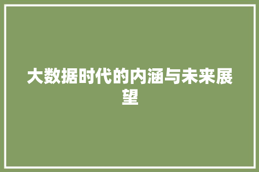 大数据时代的内涵与未来展望