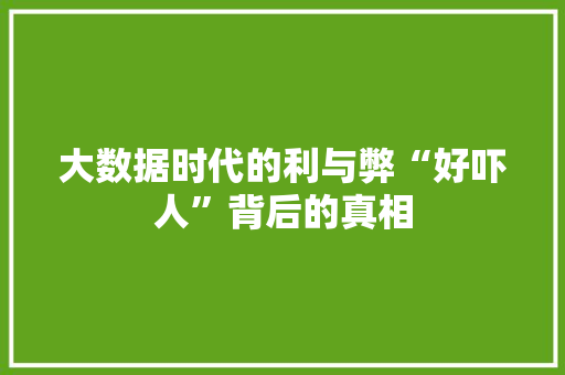 大数据时代的利与弊“好吓人”背后的真相
