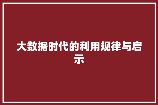 大数据时代的利用规律与启示