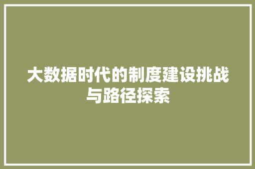 大数据时代的制度建设挑战与路径探索