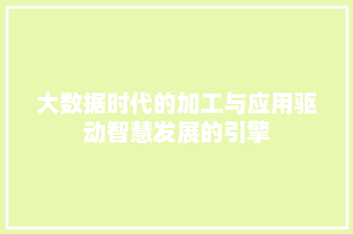 大数据时代的加工与应用驱动智慧发展的引擎
