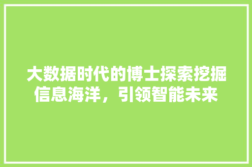 大数据时代的博士探索挖掘信息海洋，引领智能未来 编程语言