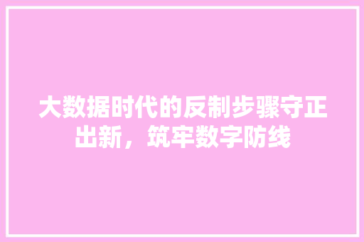 大数据时代的反制步骤守正出新，筑牢数字防线