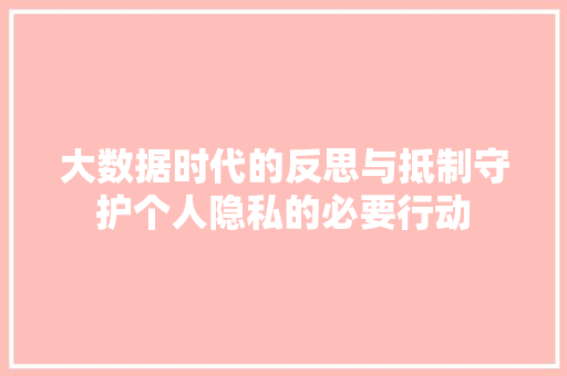 大数据时代的反思与抵制守护个人隐私的必要行动