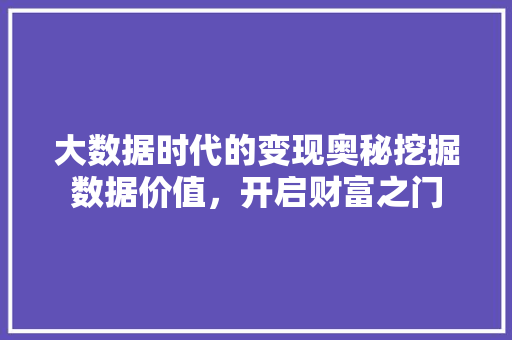 大数据时代的变现奥秘挖掘数据价值，开启财富之门