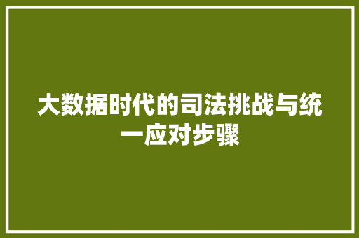 大数据时代的司法挑战与统一应对步骤