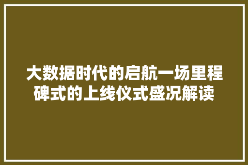 大数据时代的启航一场里程碑式的上线仪式盛况解读