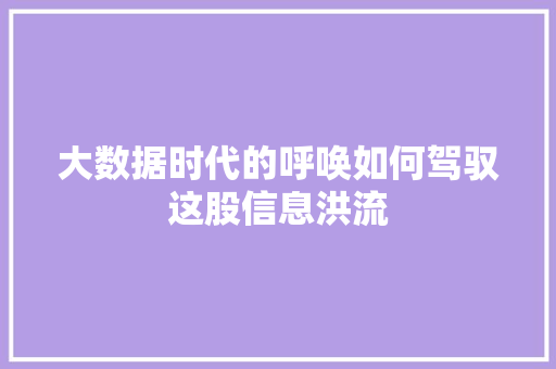 大数据时代的呼唤如何驾驭这股信息洪流