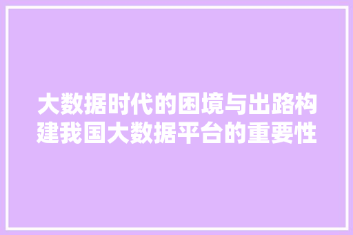 大数据时代的困境与出路构建我国大数据平台的重要性与步骤