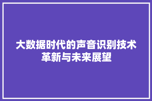 大数据时代的声音识别技术革新与未来展望