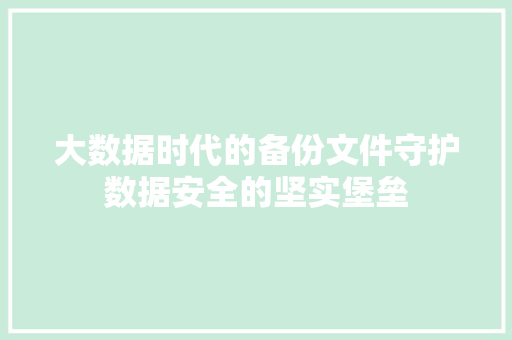 大数据时代的备份文件守护数据安全的坚实堡垒