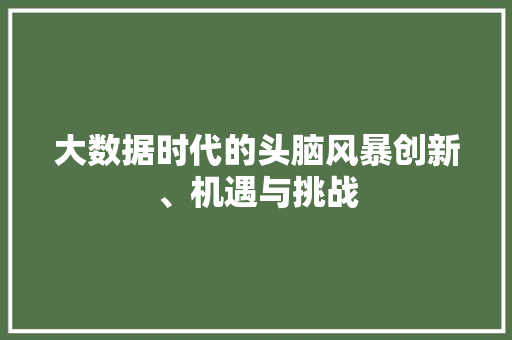 大数据时代的头脑风暴创新、机遇与挑战