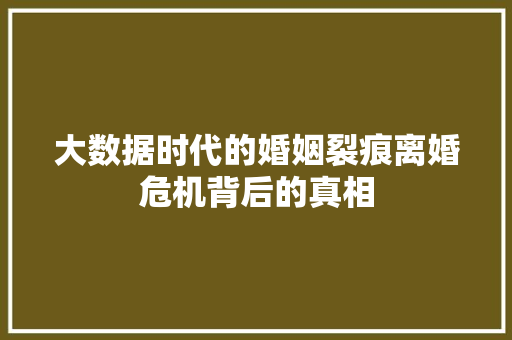 大数据时代的婚姻裂痕离婚危机背后的真相 大数据时代的婚姻裂痕离婚危机背后的真相