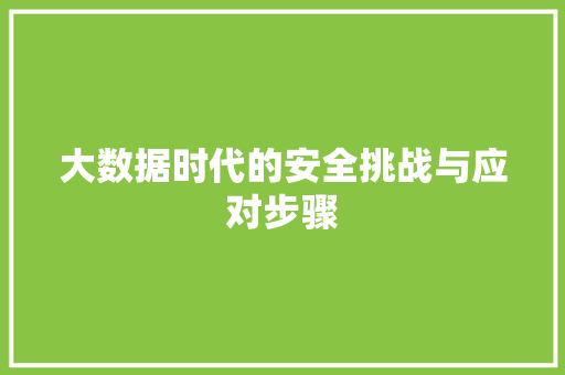 大数据时代的安全挑战与应对步骤 大数据时代的安全挑战与应对步骤