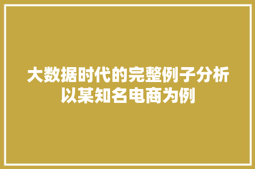 大数据时代的完整例子分析以某知名电商为例 大数据时代的完整例子分析以某知名电商为例
