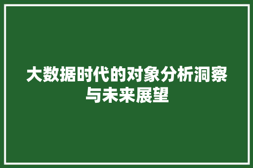 大数据时代的对象分析洞察与未来展望