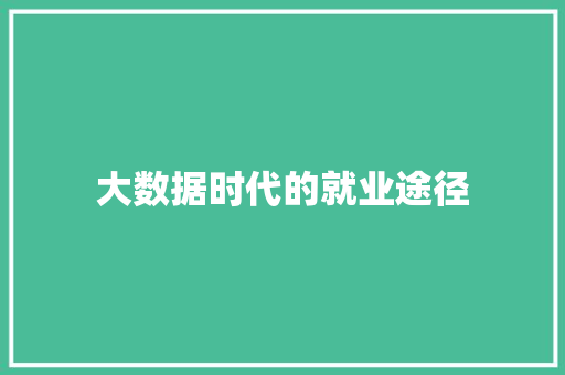 大数据时代的就业途径