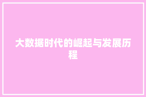 大数据时代的崛起与发展历程