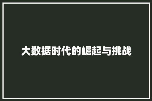 大数据时代的崛起与挑战