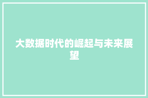 大数据时代的崛起与未来展望