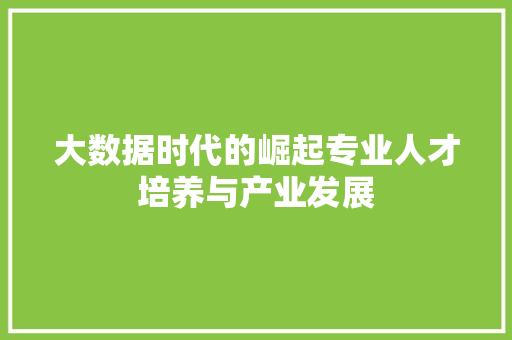 大数据时代的崛起专业人才培养与产业发展