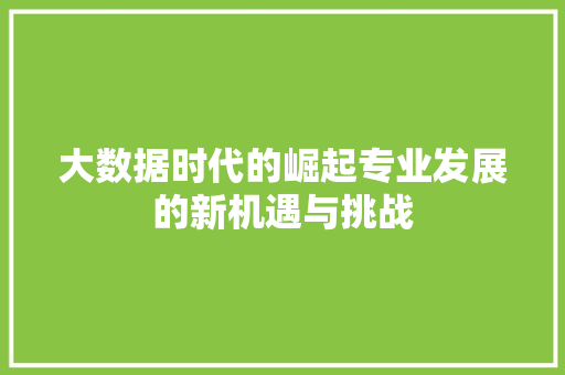 大数据时代的崛起专业发展的新机遇与挑战