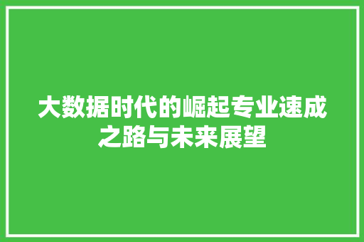 大数据时代的崛起专业速成之路与未来展望