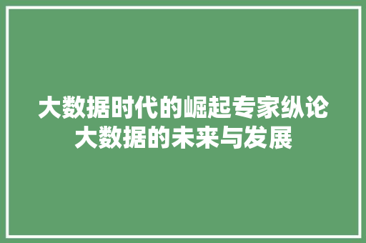大数据时代的崛起专家纵论大数据的未来与发展