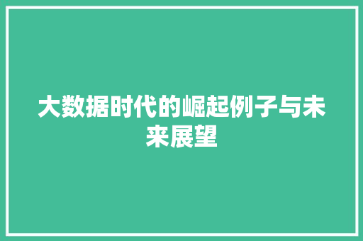 大数据时代的崛起例子与未来展望