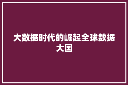 大数据时代的崛起全球数据大国