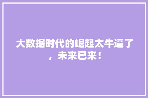 大数据时代的崛起太牛逼了，未来已来！