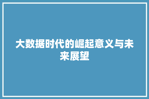 大数据时代的崛起意义与未来展望