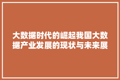 大数据时代的崛起我国大数据产业发展的现状与未来展望