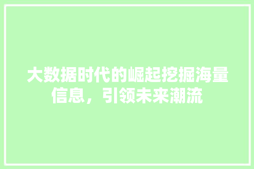 大数据时代的崛起挖掘海量信息，引领未来潮流