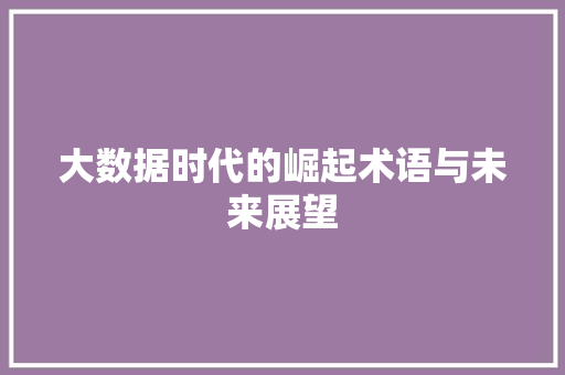 大数据时代的崛起术语与未来展望