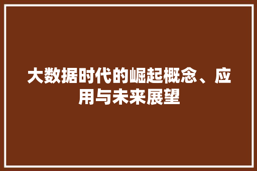 大数据时代的崛起概念、应用与未来展望