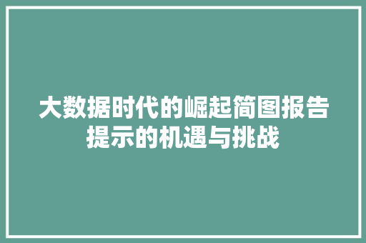 大数据时代的崛起简图报告提示的机遇与挑战