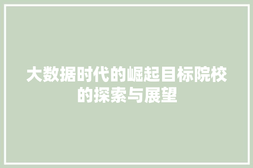 大数据时代的崛起目标院校的探索与展望
