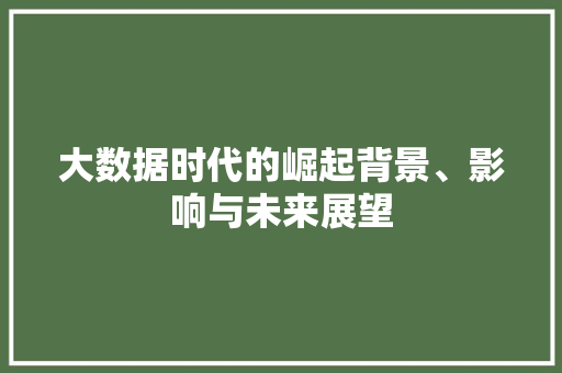 大数据时代的崛起背景、影响与未来展望