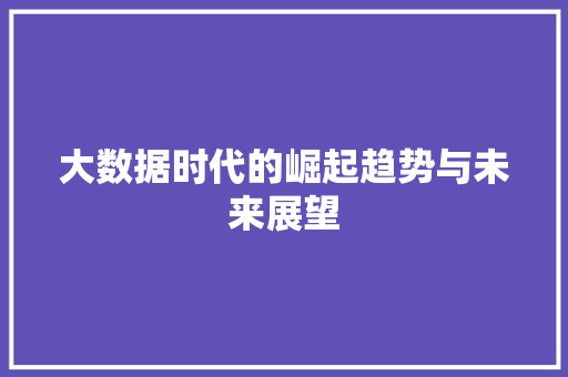大数据时代的崛起趋势与未来展望