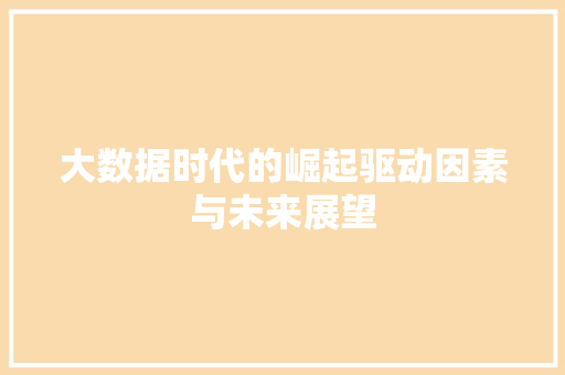 大数据时代的崛起驱动因素与未来展望