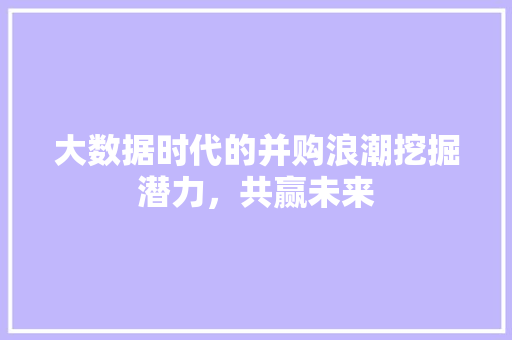 大数据时代的并购浪潮挖掘潜力，共赢未来