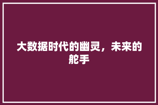 大数据时代的幽灵，未来的舵手