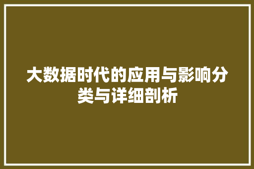 大数据时代的应用与影响分类与详细剖析
