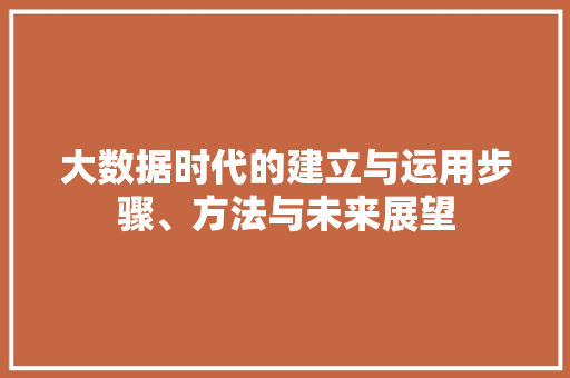 大数据时代的建立与运用步骤、方法与未来展望