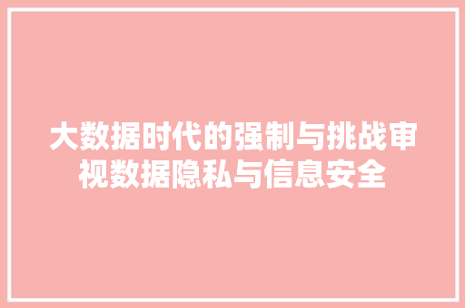 大数据时代的强制与挑战审视数据隐私与信息安全