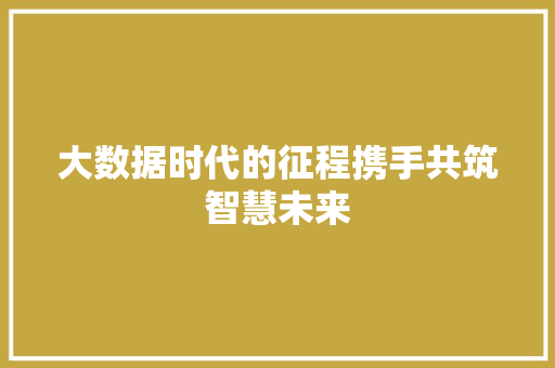 大数据时代的征程携手共筑智慧未来