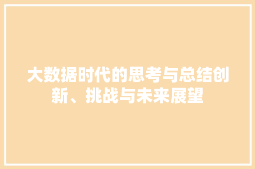 大数据时代的思考与总结创新、挑战与未来展望