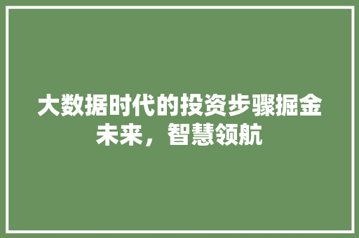 大数据时代的投资步骤掘金未来,智慧领航 大数据时代的投资步骤掘金未来,智慧领航
