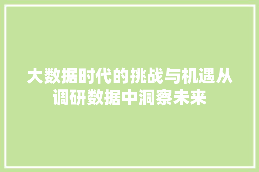 大数据时代的挑战与机遇从调研数据中洞察未来
